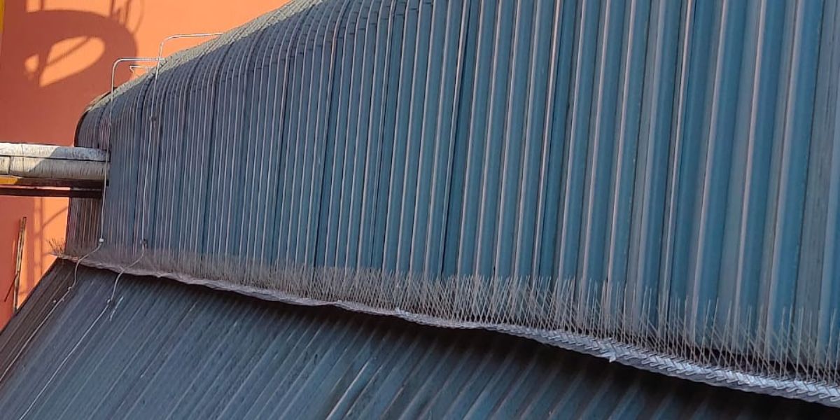 Bird Spikes Installation